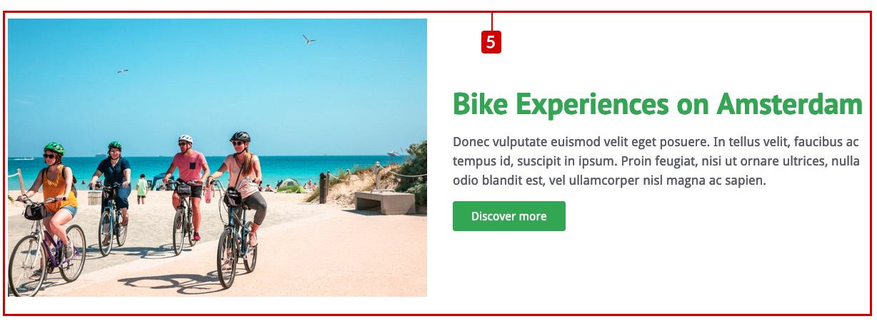 Bike rental Theme - Homepage Content