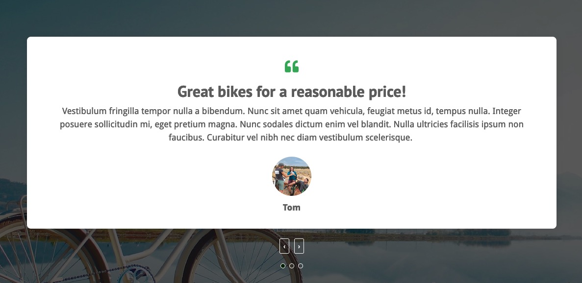Bike Rental Theme - Testimonials About Us Widget