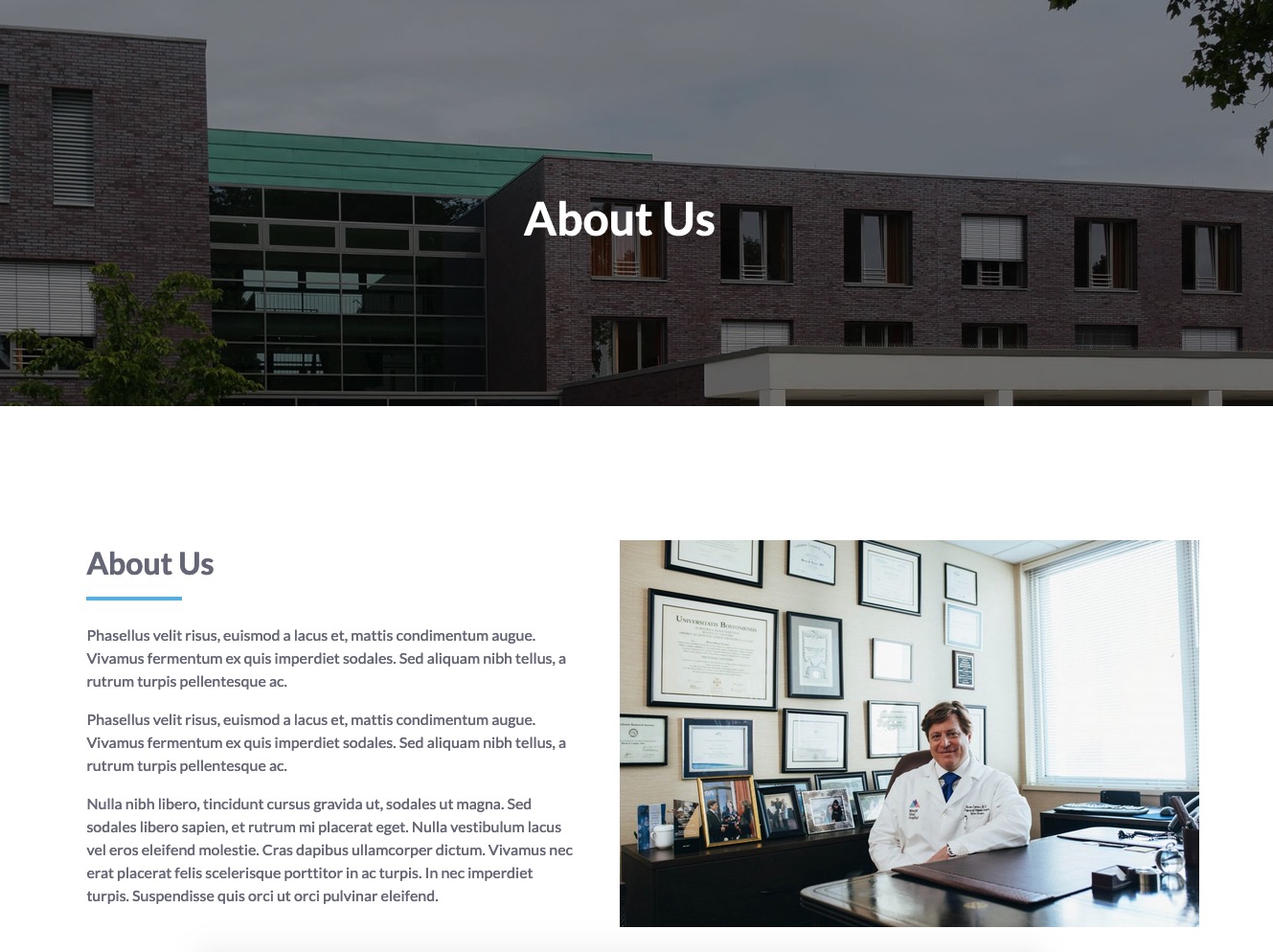 Header About Us page - MediCenter Theme